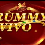 Rummy vivo