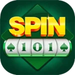 Spin 101